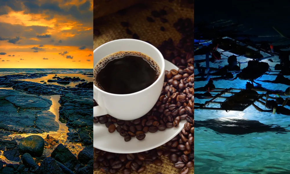 top 10 things to do in kona, hawaii